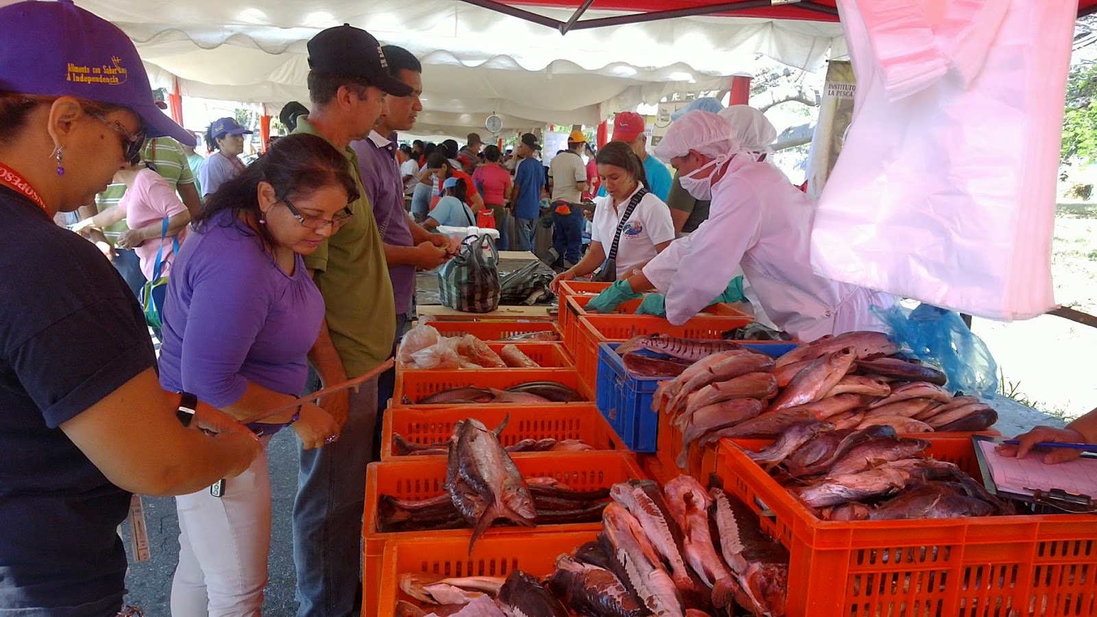 Entérate: Feria del Cardumen regresa a Caracas (+FECHAS)