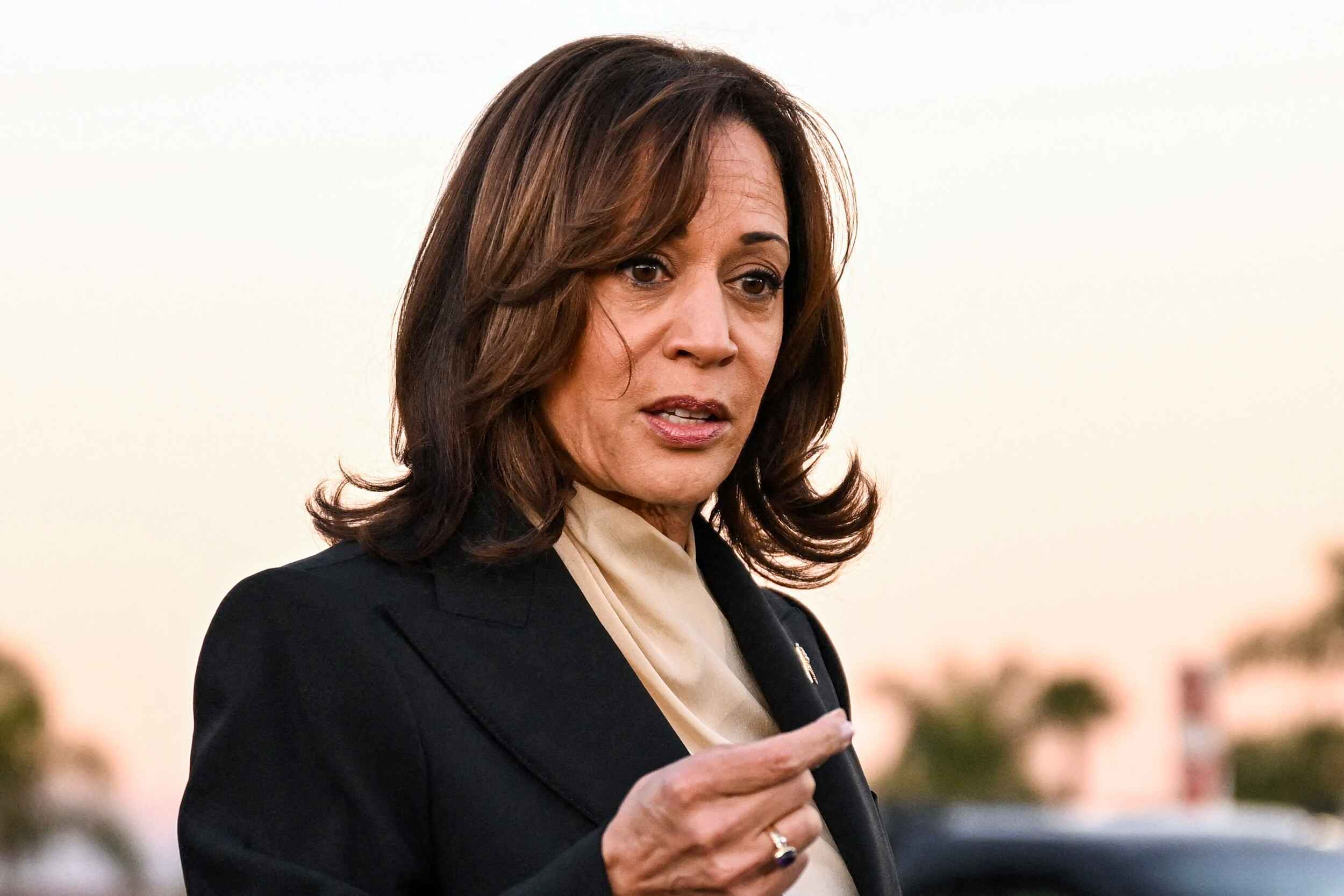 Kamala Harris promete aumentar el crédito tributario por hijos (+MONTO)