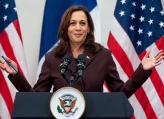 Las estrellas de Hollywood que respaldan la candidatura de Kamala Harris