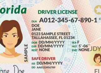 Florida anuncia cambios en la licencia de conducir a partir de agosto (+DETALLES)