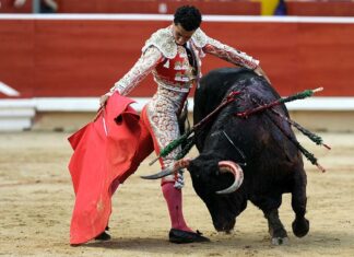 Petro sanciona la ley que prohíbe corridas de toros en Colombia