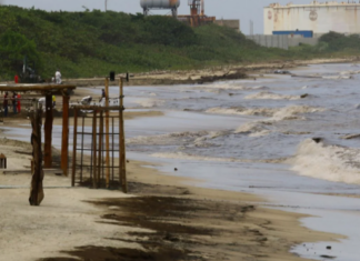 Carabobo | Así van las labores de limpieza en playas por derrame de petróleo (+Fotos)